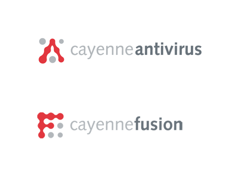 一组国外的VI应用(4)