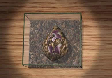 3DS&nbsp;MAX制作海螺工艺品