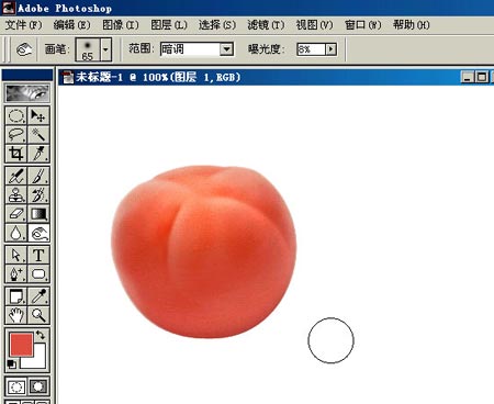Photoshop鼠绘逼真蕃茄