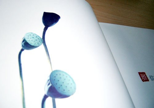 华夏银行企业画册