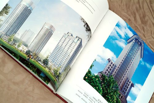 三颗树企划----画册设计