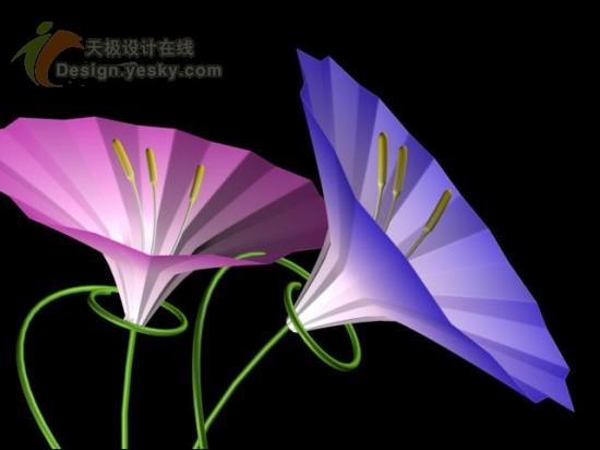 3DsMAX制作鲜艳娇嫩的三维牵牛花