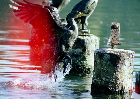 Photoshop修复曝光的照片