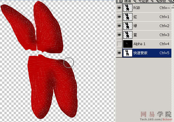 PS绘制蜻蜓的过程和效果