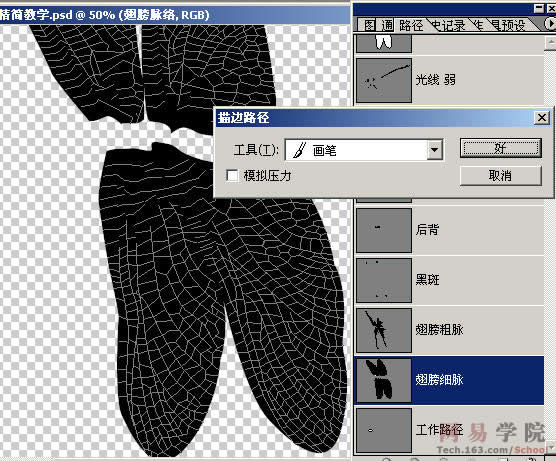 PS绘制蜻蜓的过程和效果