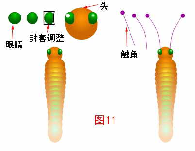 CorelDraw绘制蝴蝶