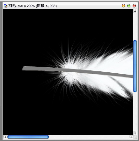 Photoshop绘制逼真的洁白羽毛