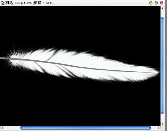 Photoshop绘制逼真的洁白羽毛