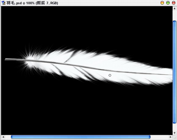 Photoshop绘制逼真的洁白羽毛