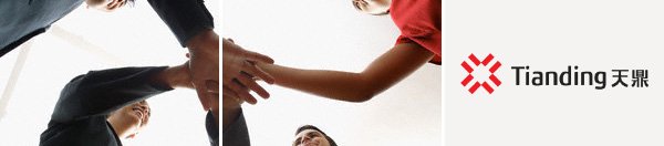 天鼎顾问公司标志设计