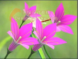 用3DsMax制作立体鲜花