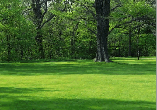 Photoshop将春景照片处理成金秋景色