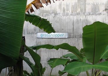 joseph的VI形象设计