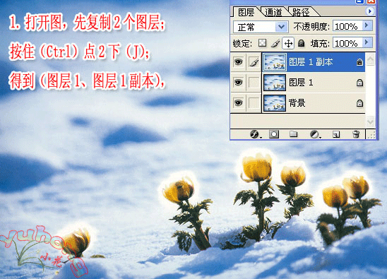 Photoshop制作梦幻花朵泡泡