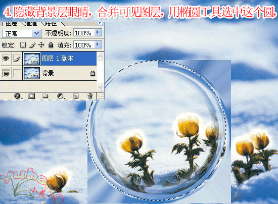 Photoshop制作梦幻花朵泡泡