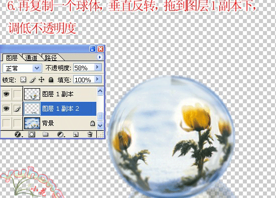 Photoshop制作梦幻花朵泡泡