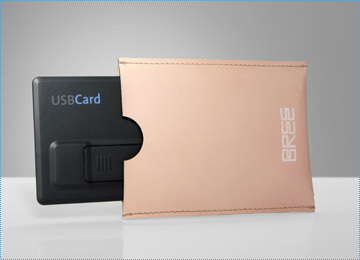红点大奖: 小巧的USB存储卡
