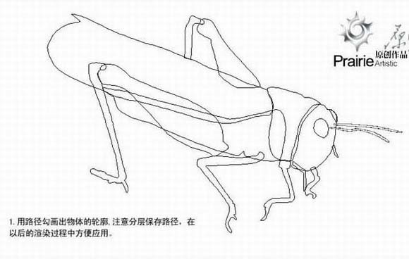 PS绘制蚂蚱教程