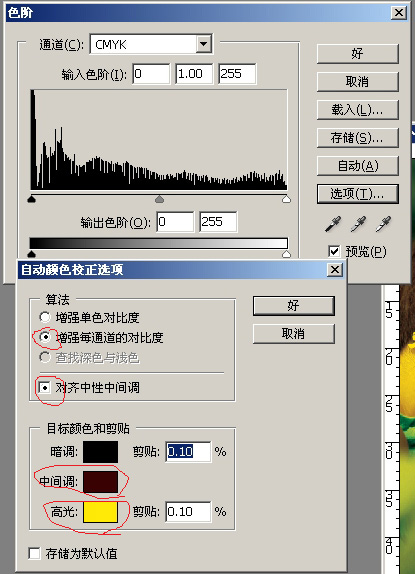 PS打造金属色调人像