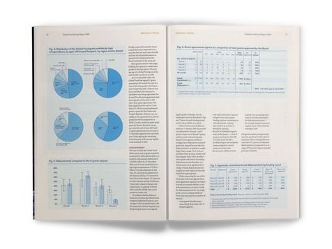 the global fund(全球基金)年报画册设计