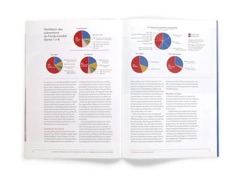 the global fund(全球基金)年报画册设计