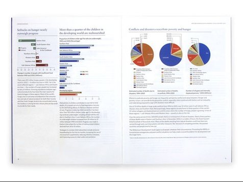 the global fund(全球基金)年报画册设计