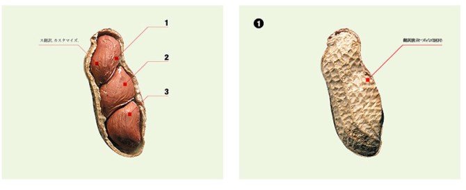 Tea&nbsp;Time企业VI设计欣赏