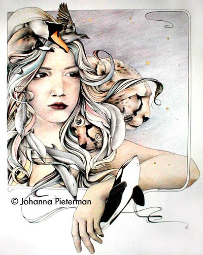 Johanna Pieterman插画欣赏