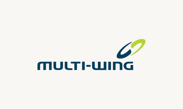 MULTI-WING品牌VI设计