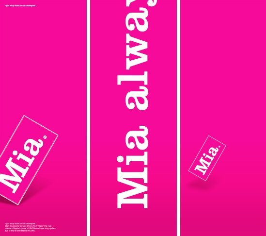 sam&nbsp;dallyn品牌VI形象设计