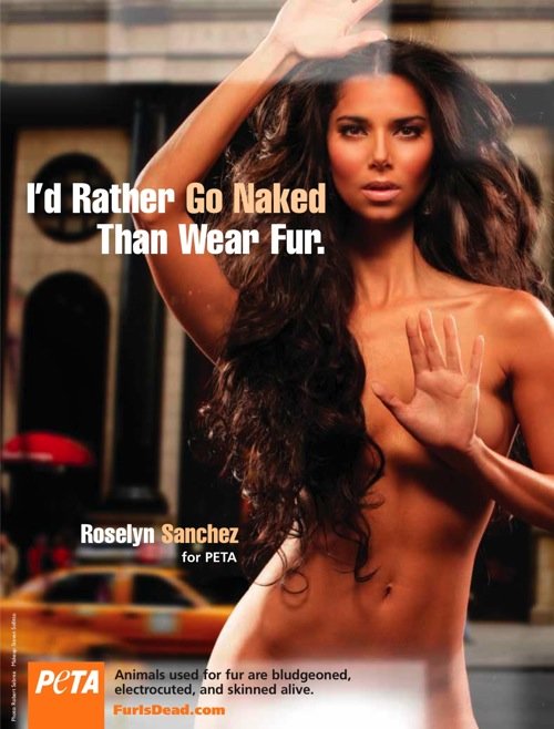 国际动物保护组织PETA平面公益广告