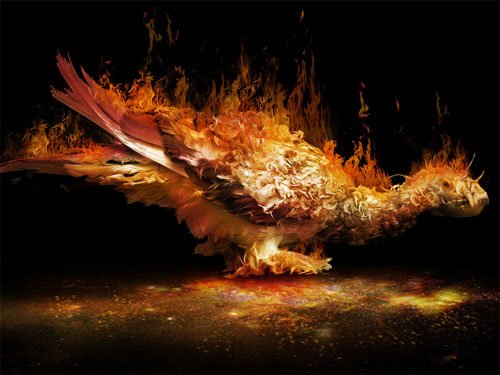 phoenix