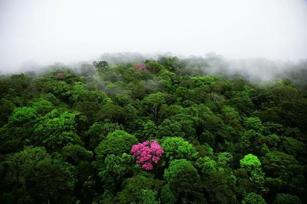 鸟瞰地球: 绝美地球风光摄影