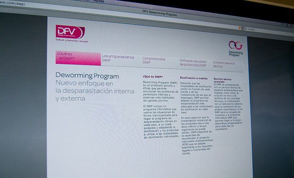 Zoo设计工作室优秀的品牌设计作品