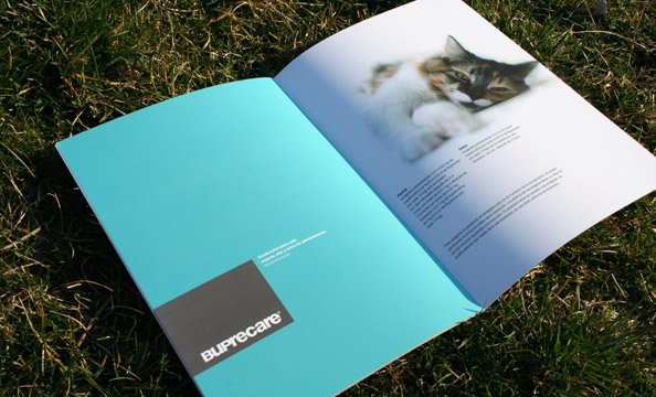 Zoo设计工作室优秀的品牌设计作品