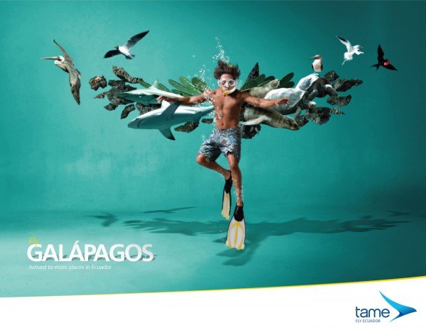 Tame Ecuador航空公司创意广告