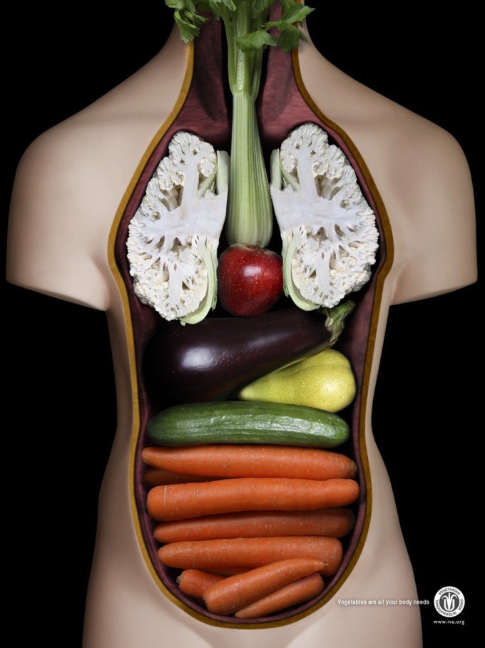 国际素食协会(IVU)广告欣赏