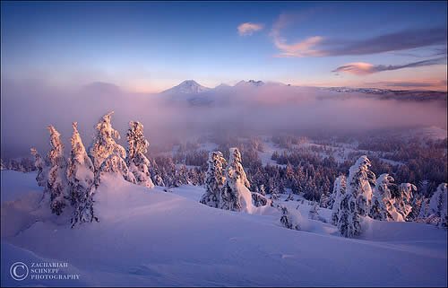 Frozen Misty Morning