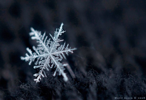 超美丽的雪花摄影欣赏