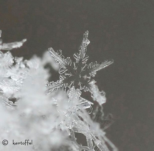 超美丽的雪花摄影欣赏