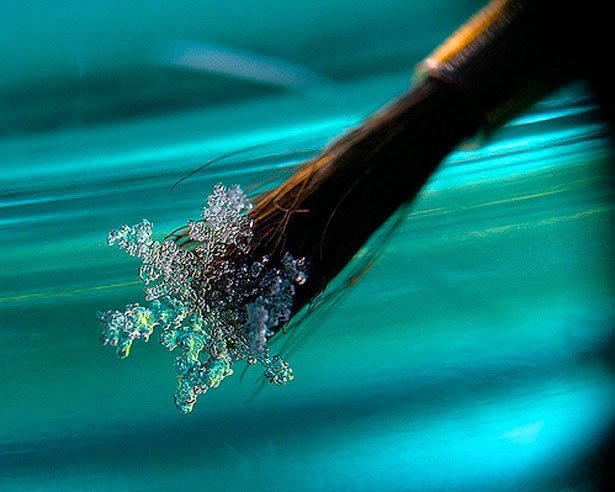 超美丽的雪花摄影欣赏