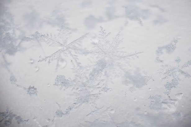 超美丽的雪花摄影欣赏