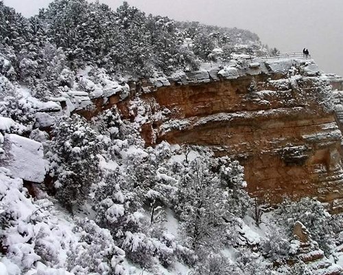 白色梦幻: 冬季雪景摄影欣赏