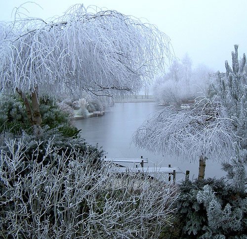 白色梦幻: 冬季雪景摄影欣赏