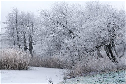 白色梦幻: 冬季雪景摄影欣赏