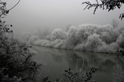 白色梦幻: 冬季雪景摄影欣赏