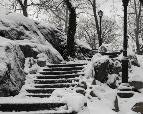 白色梦幻: 冬季雪景摄影欣赏