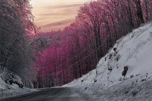 一组漂亮的冬季雪景照片欣赏