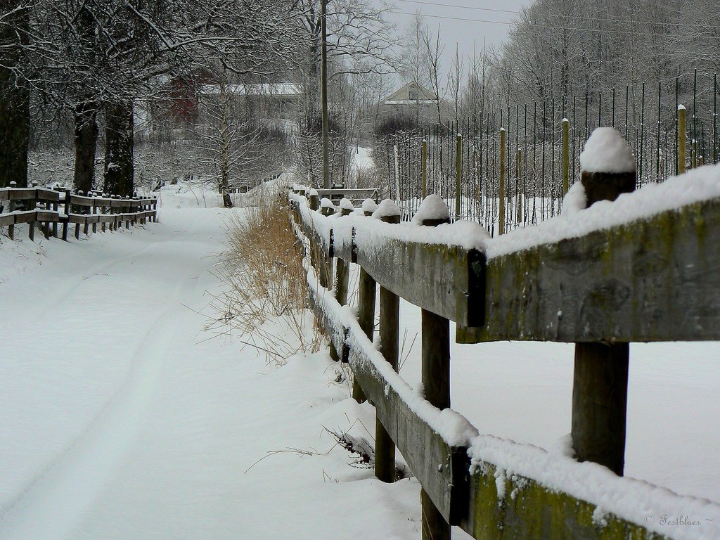 一组漂亮的冬季雪景照片欣赏