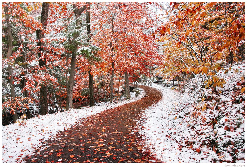 一组漂亮的冬季雪景照片欣赏